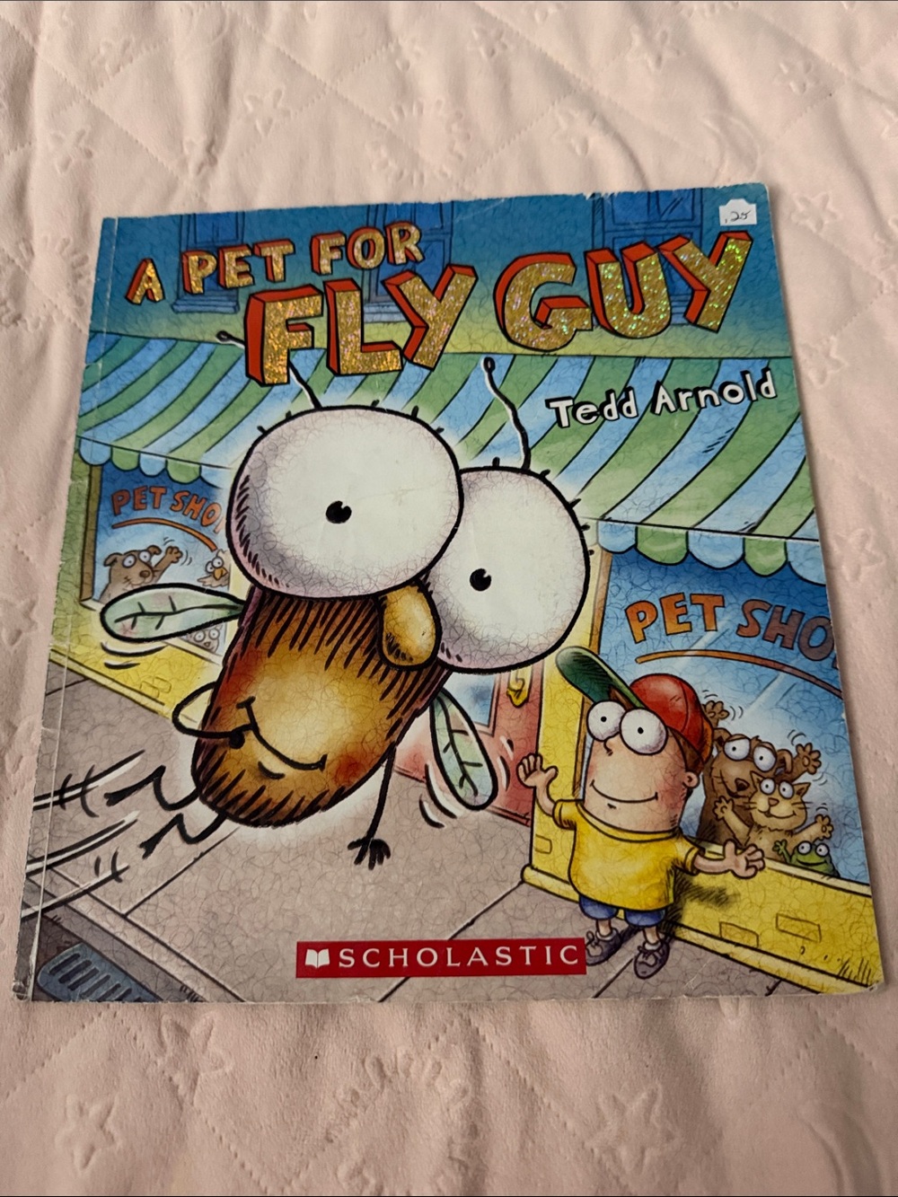 Scholastic Fly Guy Picture Book - Blue, Green, Yellow